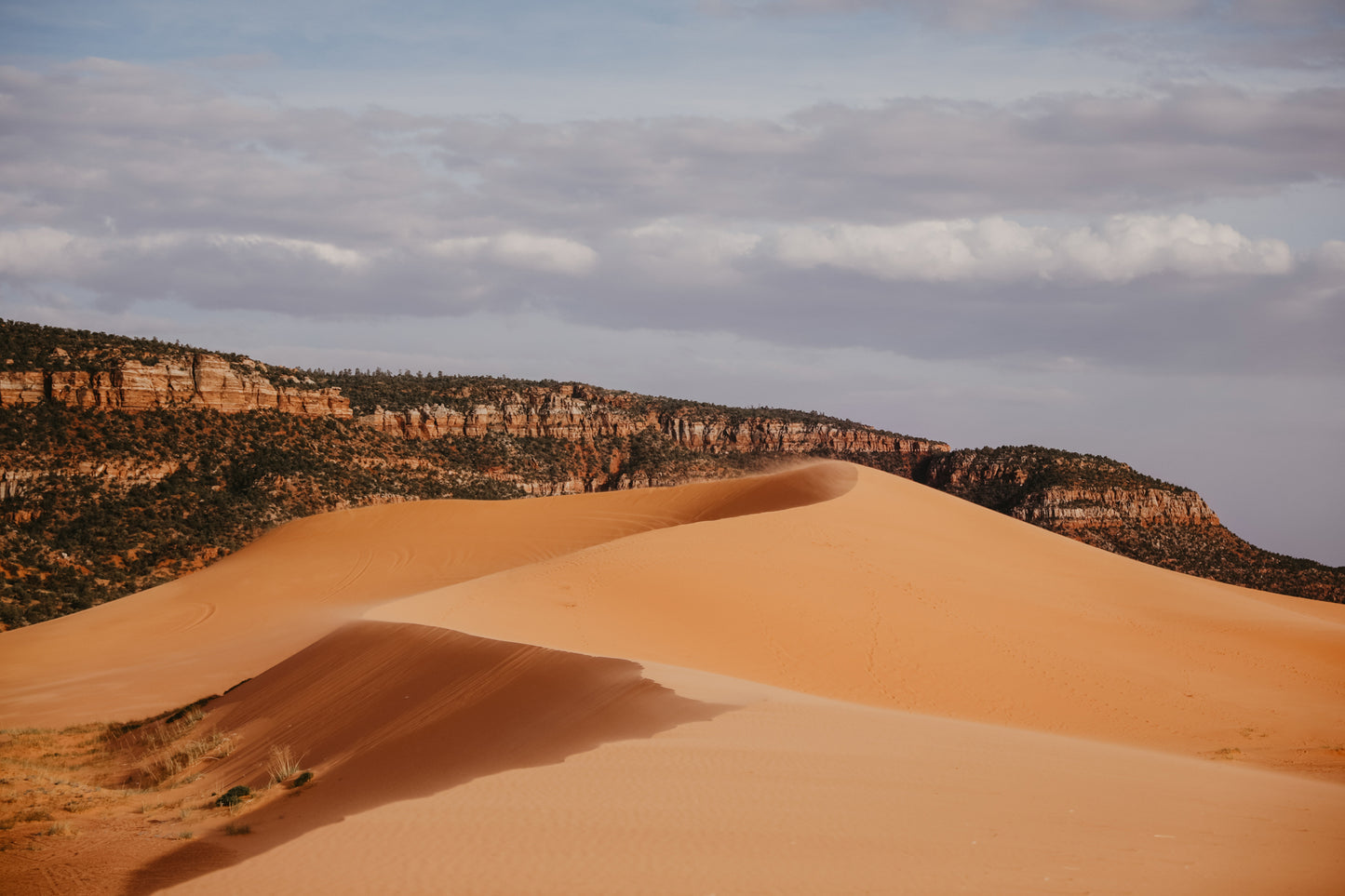 "Rose des sables"